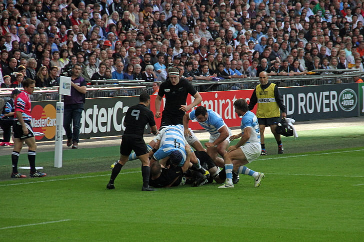 rugby, players, world, cup, stadium, sport, wembley