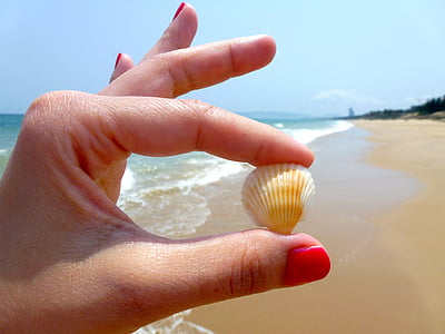 praia, concha do mar, unha do pé, verniz, mãos, o prego, mão