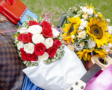 květiny, růže, dárek, kytice, kytara