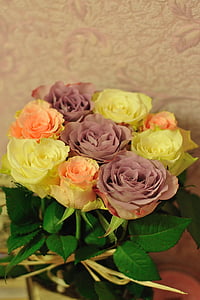 flores, Rosas, color de rosa, flor, naturaleza, ramo de la, hermosa