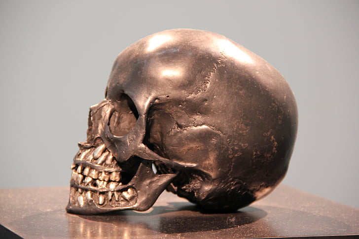 schedel, brons, hoofd, standbeeld, horror, metaal, messing