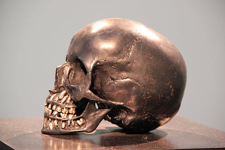 cráneo, bronce, cabeza, estatua de, horror, metal, latón