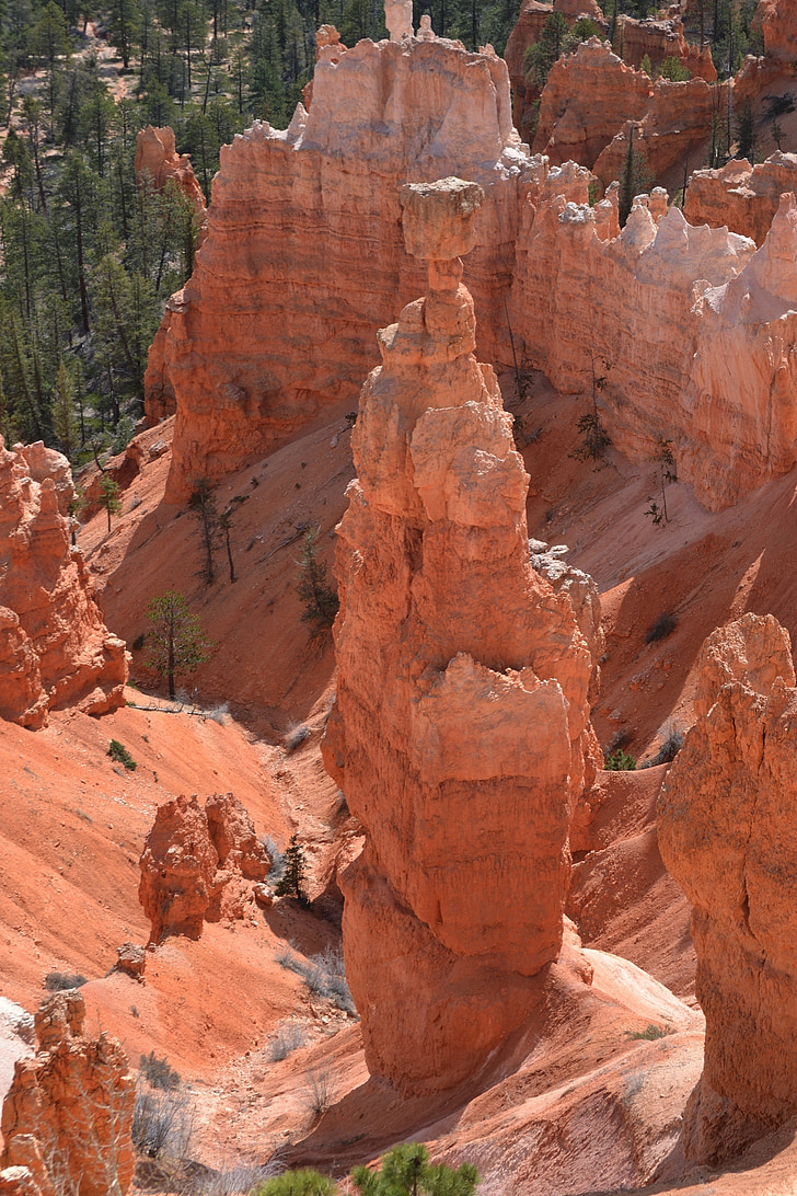 Bryce c, Bryce canyon, Utah, đá sa thạch, Hoa Kỳ, vườn quốc gia, phong cảnh