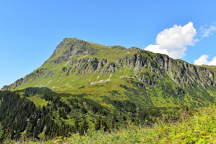 Bergen, Almen, Oostenrijk, alpenpanorma, berg, landschap, natuur