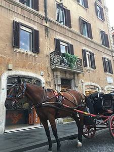 rome, horse, carriage, italy, city, street, architecture