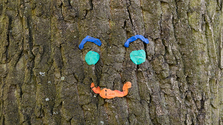 tree, face, park, happy, cheerful, art, tree spirit