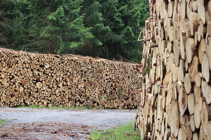 fusta, holzschlag, indústria de la fusta, apilada, fusta d'arbre, llenya, registre