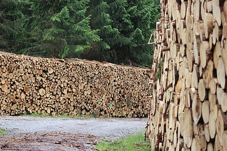 bois, Holzschlag, industrie du bois, empilé, bois d’arbre, bois de chauffage, Journal