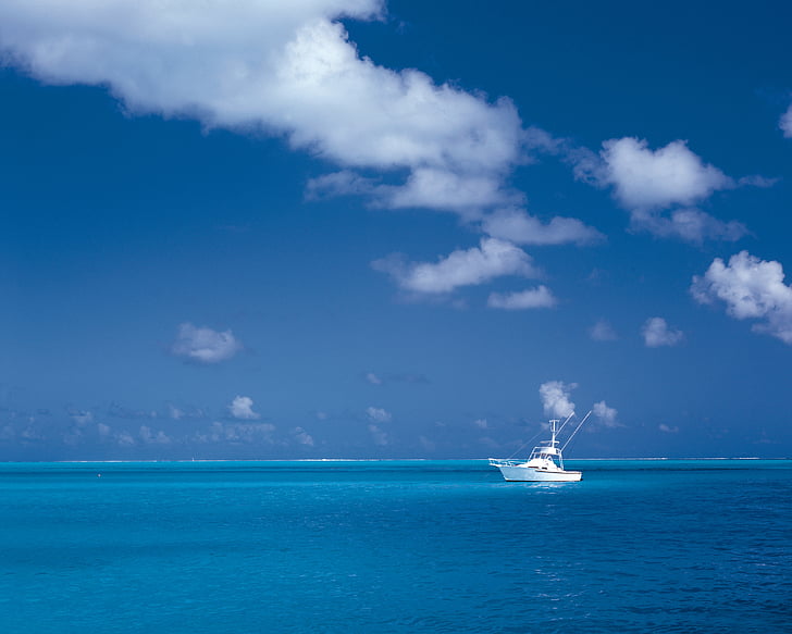 blanc, bateau à moteur, corps, eau, océan, mer, eau bleue