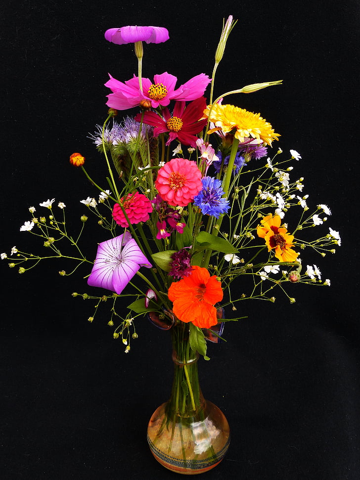 födelsedag bukett, vilda blommor, spetsiga bukett, blomma äng, bukett, Nasturtium, Marigold