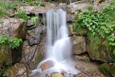 vatten, naturen, Bach, vattenfall