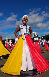 Karnaval, Bahia, geçit töreni, kompozisyon, ala, Samba Okulu, Samba