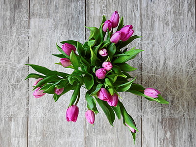 flor, tulipanes, flor, floración, ramo de la, cumpleaños, felicitar
