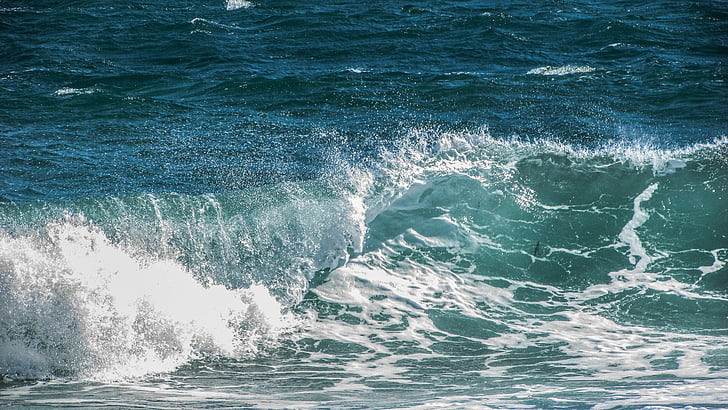 waves, wind, sea, water, foam, spray, wild