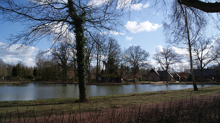 water, river, lake, abendstimmung, nature, tree, outdoors