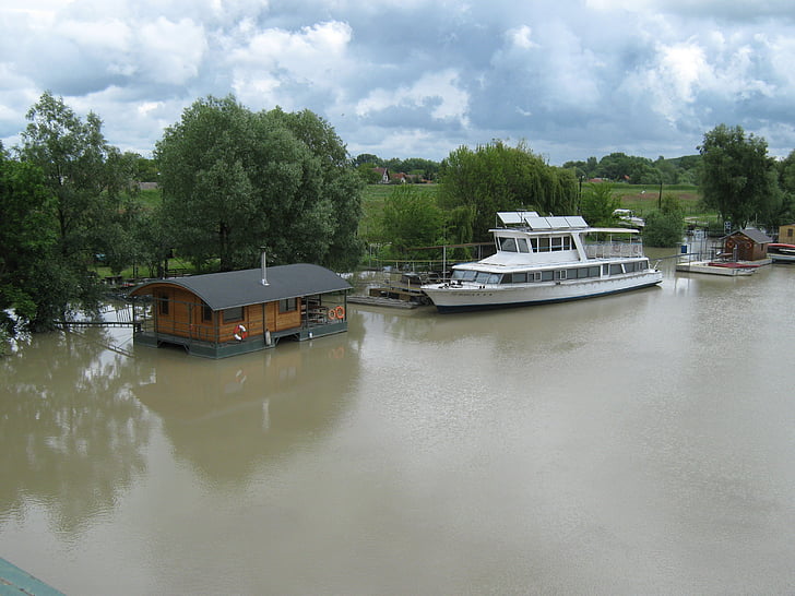 Dunaj, Słowacja, to, powódź, Rzeka, strumień, wody