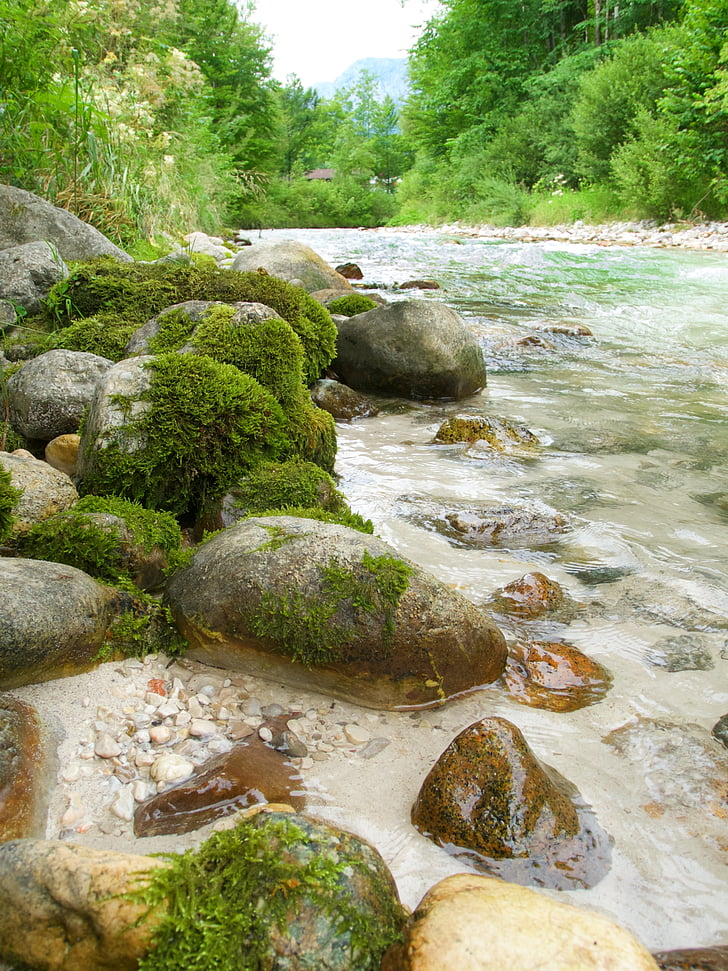 Creek, wilgotna, wody, Biała Woda, Natura, Rock - obiektu, strumień