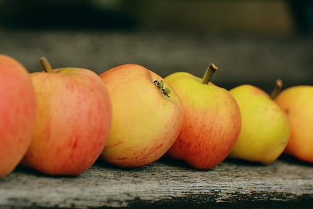 Apple, goldparmäne, fruit, meevaller, Tuin, serie, een rij