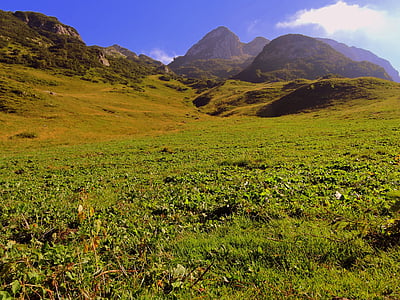 prato, mountain, green, grass, landscape, sky
