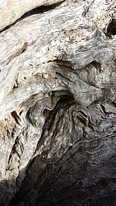 올리브, 올리브 트리, 오래 된, 나무, 루트, 비 꼬인, 구조