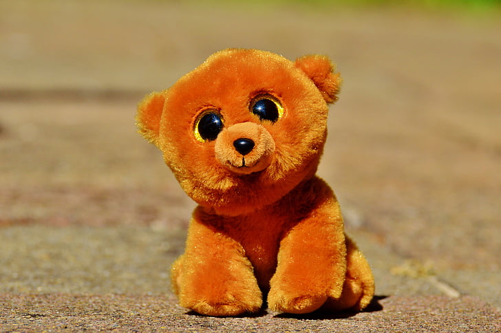ojos de brillo, animal de peluche, juguete de peluche, Teddy, lindo, dulce, oso de peluche