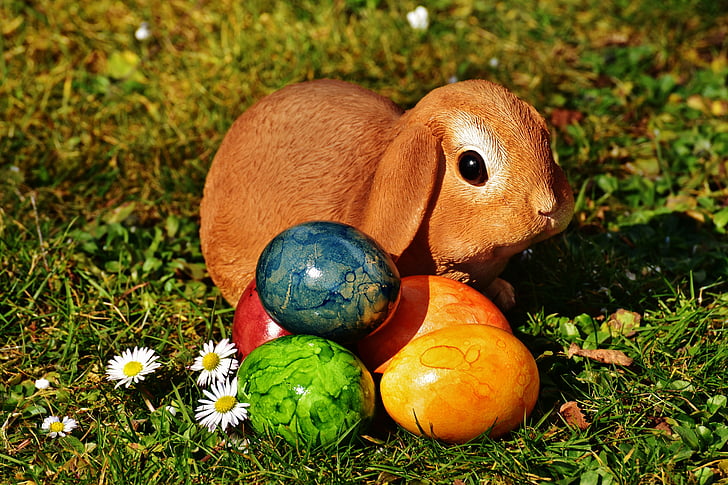 Veľkonočné, Veľkonočný zajačik, vajcia, veľkonočné vajíčka, lúka, jar, Veselú Veľkú noc