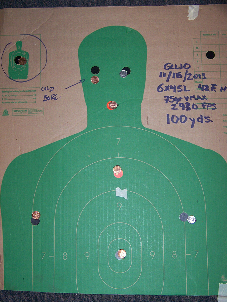 Target, mål, Wildcat, kaliber, ar, AR15, 6 x 45