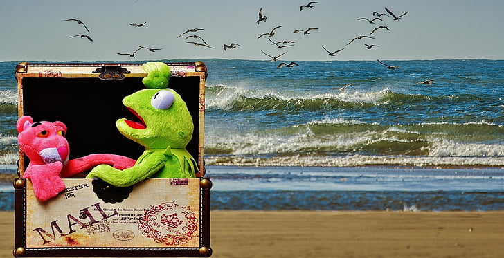 Kermit, Ružový panter červený, box, Úschovňa, Odoslať, Cestovanie, Dovolenka