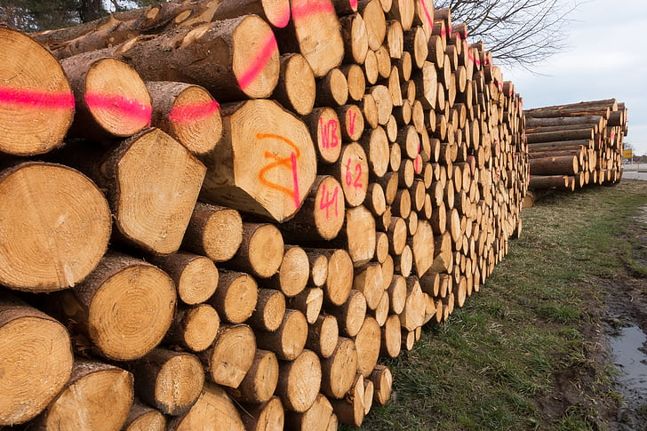 wood, timber, edge of the woods, holzstapel, growing stock, stacked up, sawed off