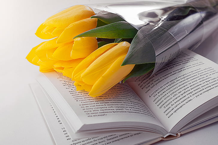 kuning, kelopak, bunga, karangan bunga, Tulip, buku, membaca