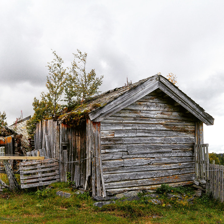 casa de troncs, vell, registre, fusta, cabina, país, anyada