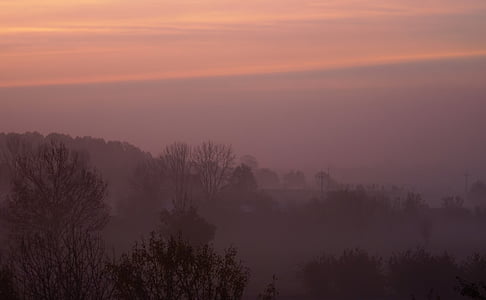 dimman, Dawn, soluppgång, På morgonen, morgon, landskap, hösten