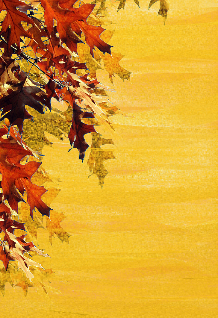 musim gugur, latar belakang, daun, muncul, alat tulis, kartu ucapan, suasana musim gugur