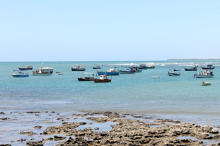 perahu, Memancing, nelayan, itacemirim, Bahia, Mar, Pantai