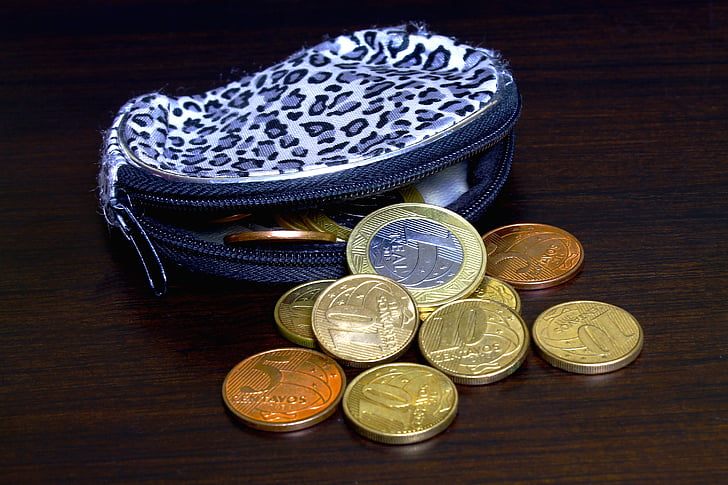 Peňaženka, kabelka, samica, mince, peniaze