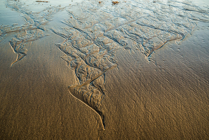 praia, Recife de longa, Sydney, Austrália, areia, padrão
