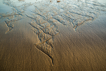 praia, Recife de longa, Sydney, Austrália, areia, padrão