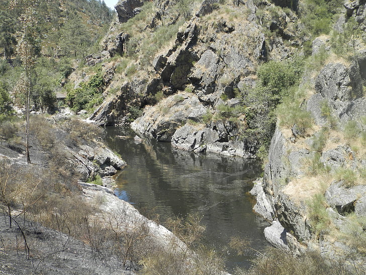 Ferreira upe, dīķis, ūdens, atsvaidzināšana