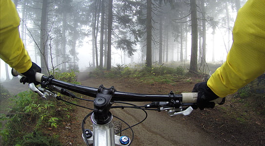 cycling, handlebars, woods, bicycle, exercise, forest, activity