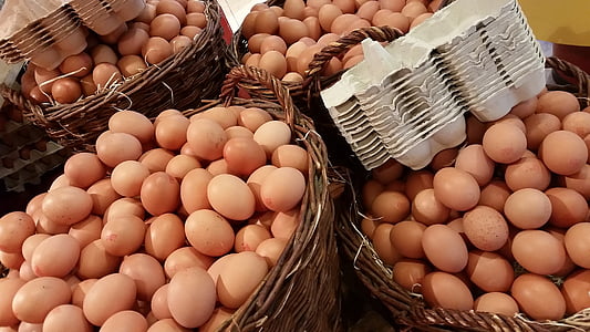 vajíčko, Velikonoce, prodejní stojan, Nizozemsko, vejce krabičce, bílkoviny, košíky