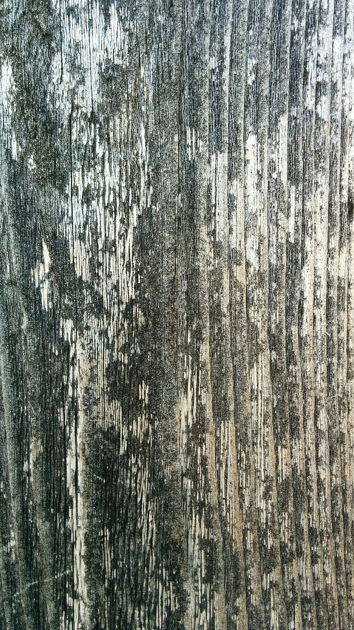 kayu, tekstur, pola, kayu, bahan, kayu, kayu
