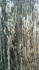 madeira, textura, padrão, de madeira, material, madeira, madeira