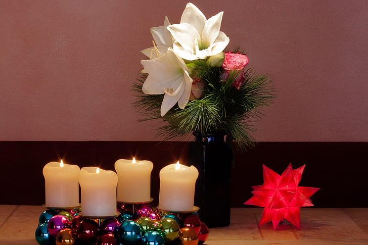 advent wreath, christmas, amaryllis, white, flowers, flower, plant