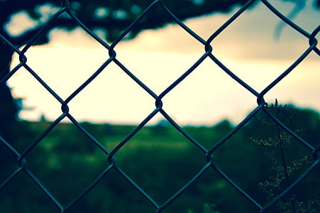 blurred, close-up, fence, wire mesh, outdoors, sport