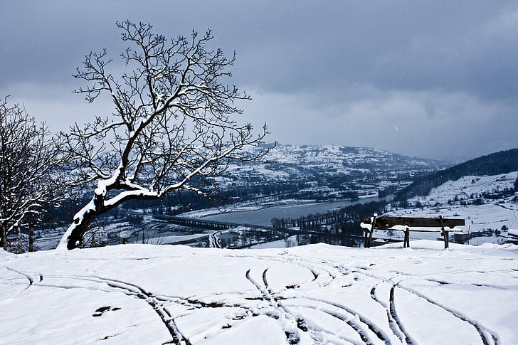 snow, landscape, nature, tree, winter