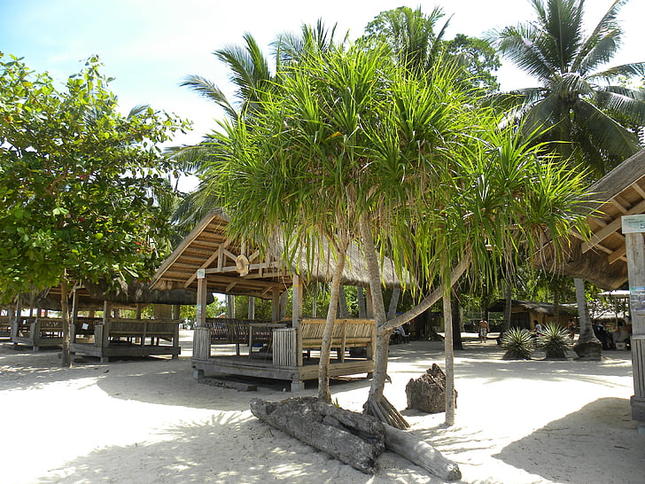 Strandstuga, palmer, stranden, Asia, Palms, Bamboo