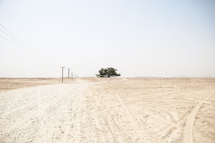 barren, desert, nature, outdoors, power lines, sand, sky