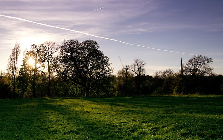 สวน, ลอนดอน, สวนเคนซิงตัน, สีเขียว, ธรรมชาติ, เมืองหลวง, ในเมือง