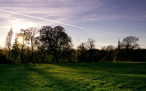 Πάρκο, Λονδίνο, Κήποι του Κένσιγκτον, πράσινο, φύση, κεφαλαίου, αστική