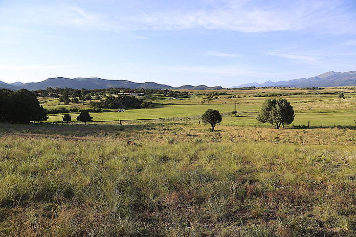 colorado, countryside, vizsla, summer, sightseeing, farm, mountains